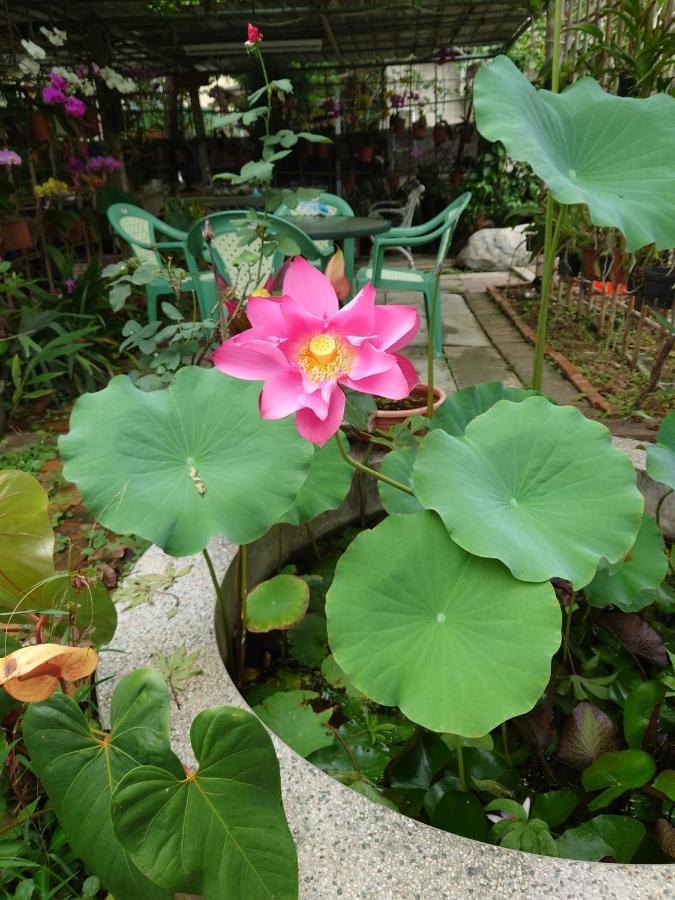 Garden Hostel Minxiong Exteriör bild