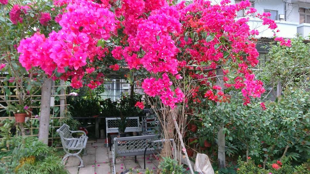 Garden Hostel Minxiong Exteriör bild
